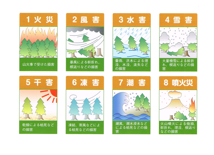災害の種類